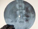 JIMI HENDRIX FOXEY LADY X-Ray USSR Record Roentgen Bone Ribs Music Vinyl