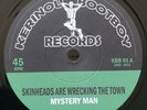 SKINHEADS A WRECK THE TOWN - WINSTON GROOVY (French 2011 - Ltd Edition 179/500)