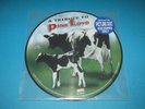 V.A. / A Tribute To Pink Floyd (GER 2002 RockUp) Limited Edition Picture Disc LP