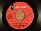 W.C. Fields Memorial Electric.. I'm Not Your Stepping Stone/Round World Garage