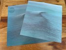 RIDE Nowhere Cre LP074 UK 1st A1/B1 PRESSING + Print In NEAR MINT
