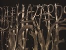 The Decemberists - The Hazards Of Love (Vinyl LP - 2009 - UK - Reissue)