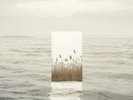 Paolo Benvegnu'   Solo Fiori Ep 12
