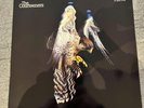 The Courteeners - Falcon RSD 2019 Reissue on White vinyl NM/NM