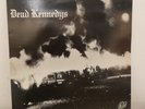 Dead Kennedys Fresh Fruit For Rotting Vegetables LP 1980 Cherry Red BRED10 (Hea)