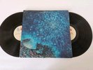 Love-Arthur Lee Out Here 1969  Blue Thumb Records ‎–BTS-9000 2xLP vinyl album