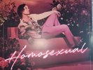 Darren Hayes - Homosexual 2xLP 