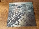 Fleet Foxes “Shore” 2LP gatefold vinyl sealed with POSTER new