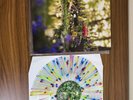 Pikmin Soundtrack LP Clear Splatter Vinyl + 7” Not Moonshake VGM