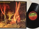 Echo and the Bunnymen     crocodiles