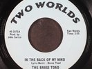 BRASS TOAD: in the back of my mind / easy to be hard TWO WORLDS 7