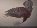 Katatonia - The Fall Of Hearts (Vinyl 2LP - 2016 - EU - Original)