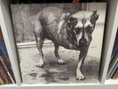Alice in Chains self titled 1st Press Tripod LP Album 1995 -  Sony Employee Copy