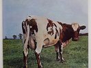 PINK FLOYD ATOM HEART MOTHER ODEON OP80102 JAPAN VINYL LP