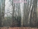 TWINK - 'THINK PINK' PINK VINYL LP + INSERTS Floating World 2023 SIGNED by TWINK
