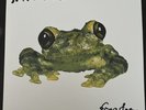 Silverchair Frogstomp 2013 180 G  2LP Neon Green Ltd To 500 SRC Etched Side D