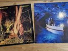 echo and the bunnymen crocodiles And Ocean Rain Vinyl Albums