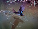 Mike Oldfield - The Complete Mike Oldfield (2xLP, Comp)