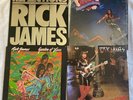4 Rick James records LPs albums Street Songs, Garden, Come Reflections w/poster
