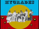 The Hygrades - The Hygrades (LP)