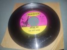 THE HALF DOZEN Another Day DUNWICH 45 RARE KILLER MINNESOTA GARAGE SOUL HEAR
