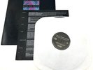 Nine Inch Nails - Pretty Hate Machine Vinyl Record CIB (HE1042278)