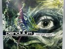 Pendulum Hold Your Colour  12