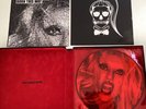 Lady Gaga Born This Way Limited Edition Picture Vinyl Box Set 9x Records  N#941