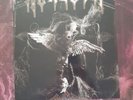 Morgoth Cursed LP