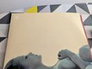 Beady Eye BE Vinyl