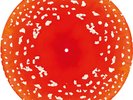 Kasabian Happenings Trippy Shroom Limited Picture Disc No.251 of 2000 Brand New