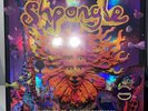 SHPONGLE - MUSEUM OF CONCIOUSNESS 3 X 12