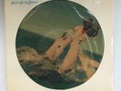 Parliament Motor Booty Affair 1976 Casablanca Picture Disc LP Still Sealed Georg