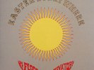 13th Floor Elevators - Easter Everywhere (LP, Album, Ltd, RE, 180) (Mint (M)) -