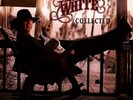 Tony Joe White - Collected (Vinyl 2LP - 2019 - EU - Original)