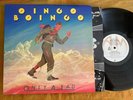 Oingo Boingo Only A Lad NM Original US vinyl