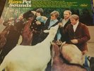 RECORD LP  SCARCE BEACH BOYS  Pet Sounds  T-2458 on Capitol