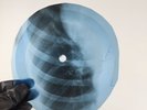 ELVIS PRESLEY JAILHOUSE ROCK X-Ray USSR Record Roentgen Bones Ribs Music Vinyl