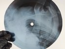 BLACK SABBATH PARANOID X-Ray USSR Record Roentgen Bones Ribs Music Vinyl
