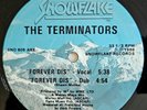 1986 - THE TERMINATORS - FOREVER DIS / POLO - OG KOOL G RAP DJ POLO MARLEY MARL