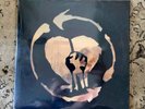 Rise Against Endgame Vinyl