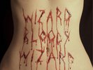 Electric Wizard Wizard Bloody Wizard (Vinyl) 12