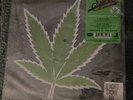 Cheech & Chong  Up In Smoke 7