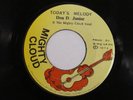 Don D Junior & the Mighty Cloud Band 