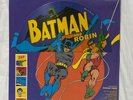 Batman & Robin Sensational Guitars Dan & Dale LP Vinyl Picture Disc Record New