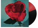 METZ - Up On Gravity Hill - Vinyl (LP)