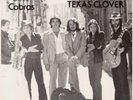 Paul Ray and the Cobras 45 (Stevie Ray Vaughan)