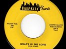 HELENE SMITH - WHAT'S IN THE LOVIN/CHINA MELODY (DEEP CITY) M- MIAMI SOUL 45