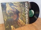 MANDRAGORA * SHRINK NM PRIVATE PROG FUSION SCAT MEXICO LP