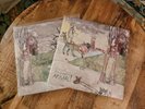 Margot & THE nuclear So And Sos Animal And Not Animal - Colored Vinyl - NEW